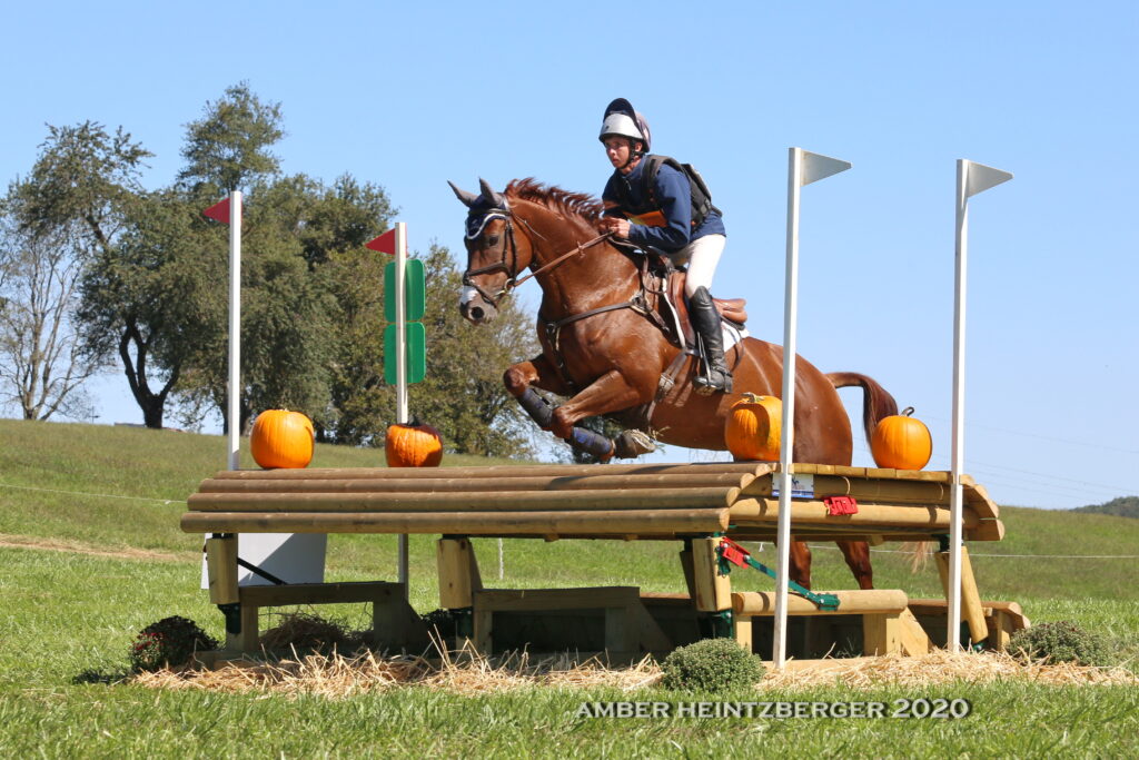 ETB Equine Construction  Cross-Country Jump Building & Course Design